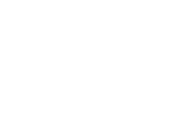 NEXEN Tire